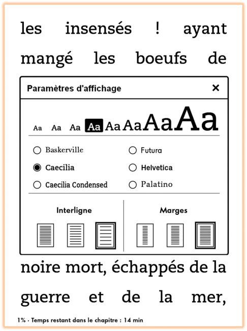 Paramètres d'affichage Kindle