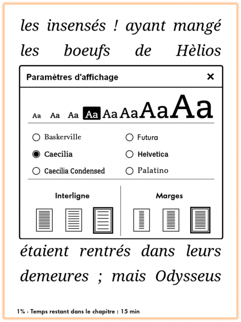 Paramètres d'affichage Kindle