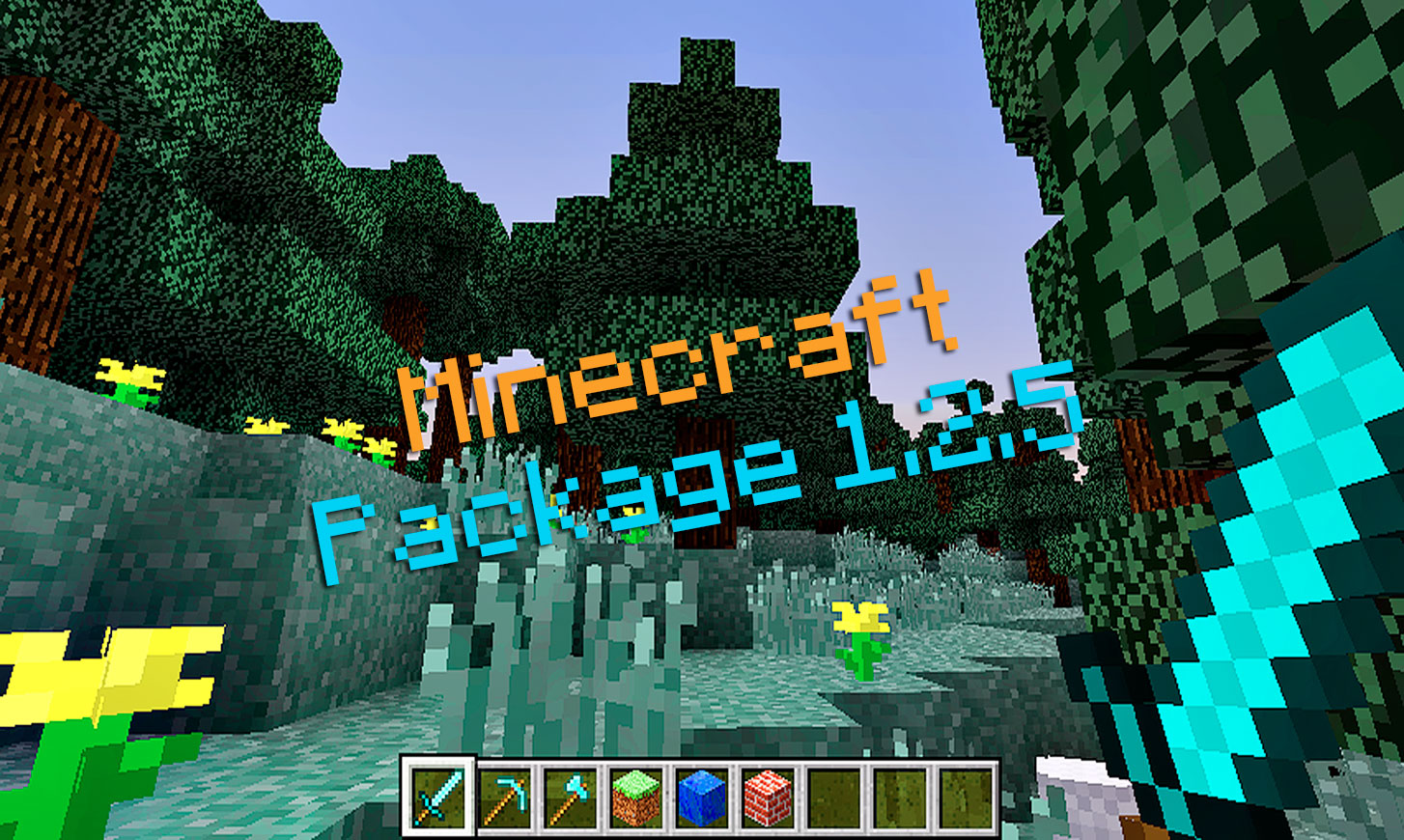 Package client/serveur Minecraft 1.2.5